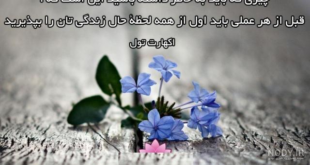 خانه تحول سایت دکتر فرهنگ خانه تحول سایت دکتر فرهنگ