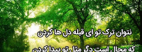 دانلود عکس طبیعت