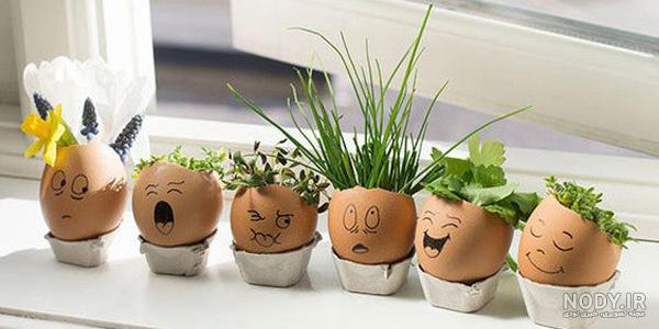 سبزه برنج برای عید سبزه برنج برای عید