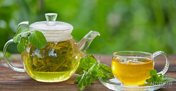 عکس بوته چای سفید عکس بوته چای سفید