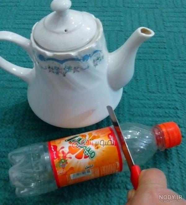 عکس سبزه و گل عکس سبزه و گل