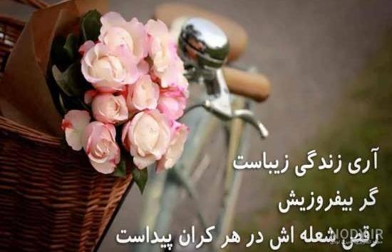 عکس طبیعت با کیفیت بالا