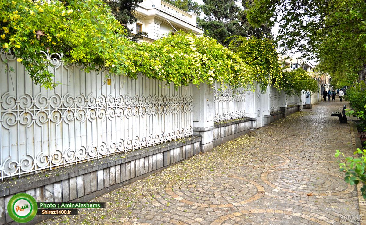 عکس طبیعت بهار شیراز عکس طبیعت بهار شیراز
