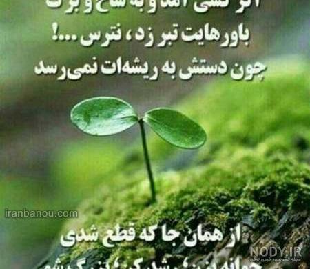عکس پروفایل طبیعت
