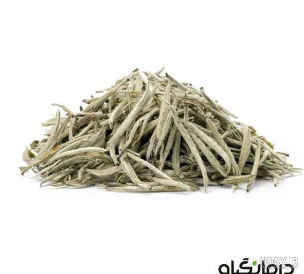 عکس چای سفید کوهی عکس چای سفید کوهی