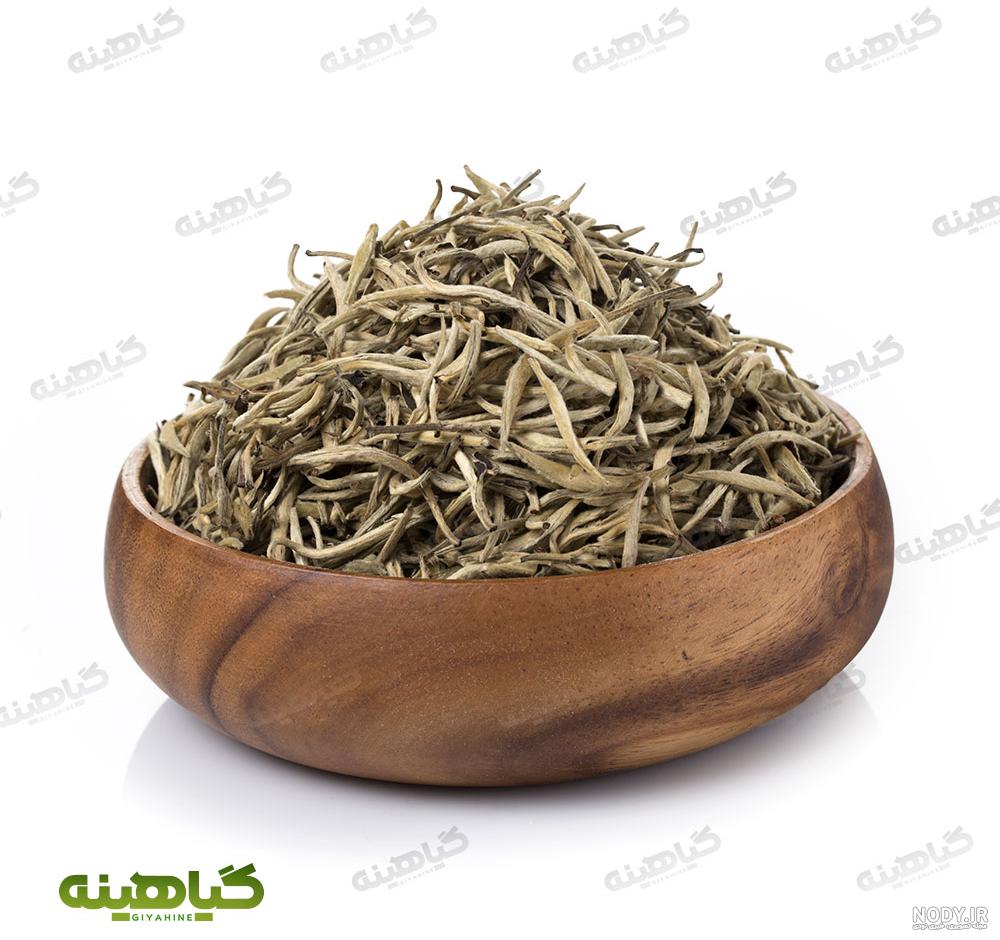 عکس گل چای سفید عکس گل چای سفید