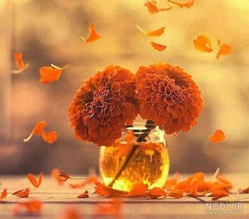 پروفایل مردانه شیک و سنگین