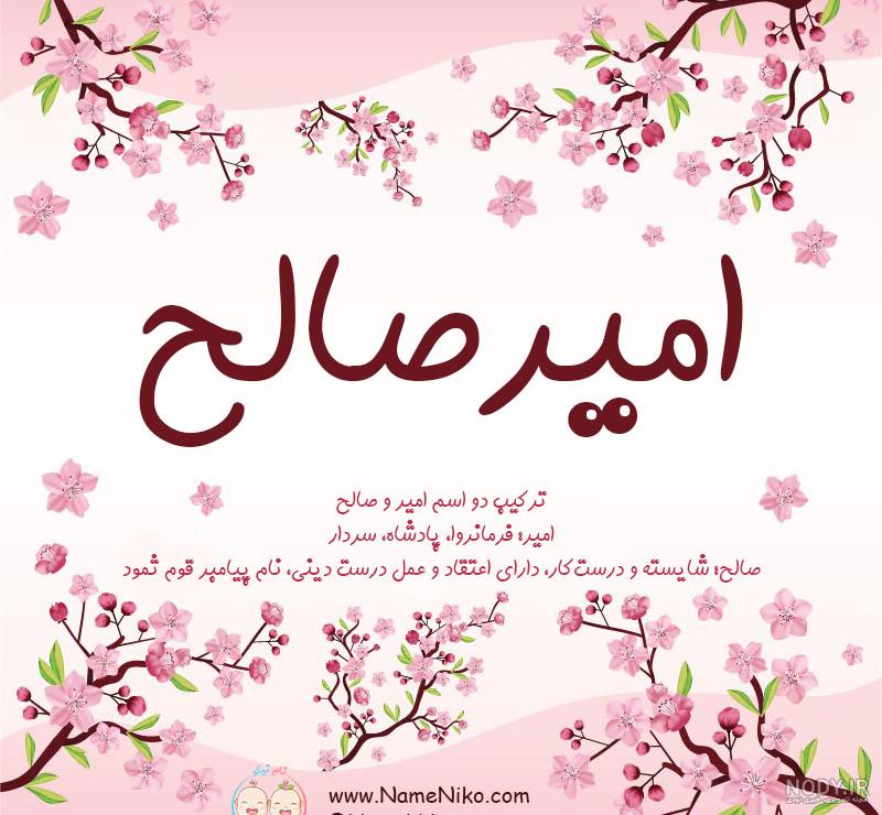 کلیپ تولد صالح جان تولدت مبارک