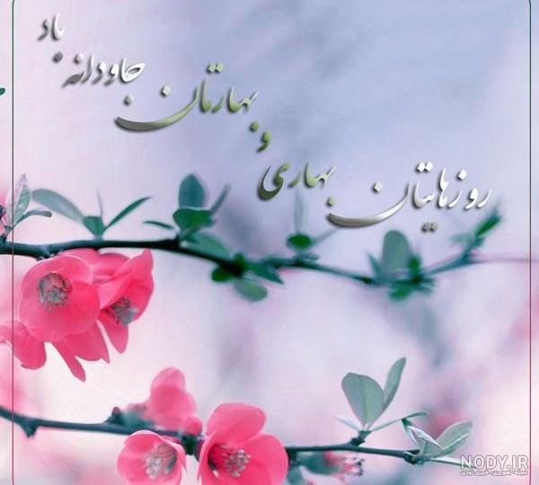 کلیپ سال نو مبارک رفیق کلیپ سال نو مبارک رفیق