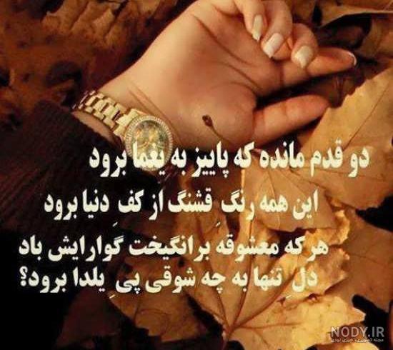 کلیپ شب قدر برای وضعیت واتساپ