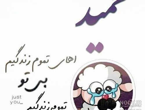 عکس نوشته های عاشقانه حمید عکس نوشته های عاشقانه حمید