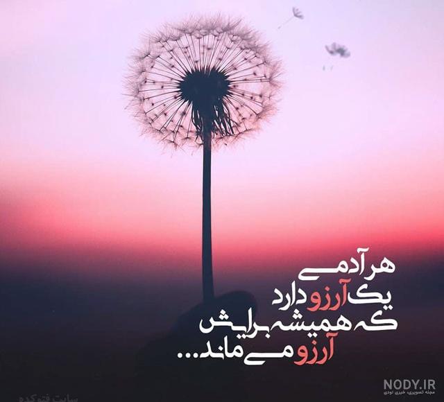 بهترین عکس پروفایل جهان