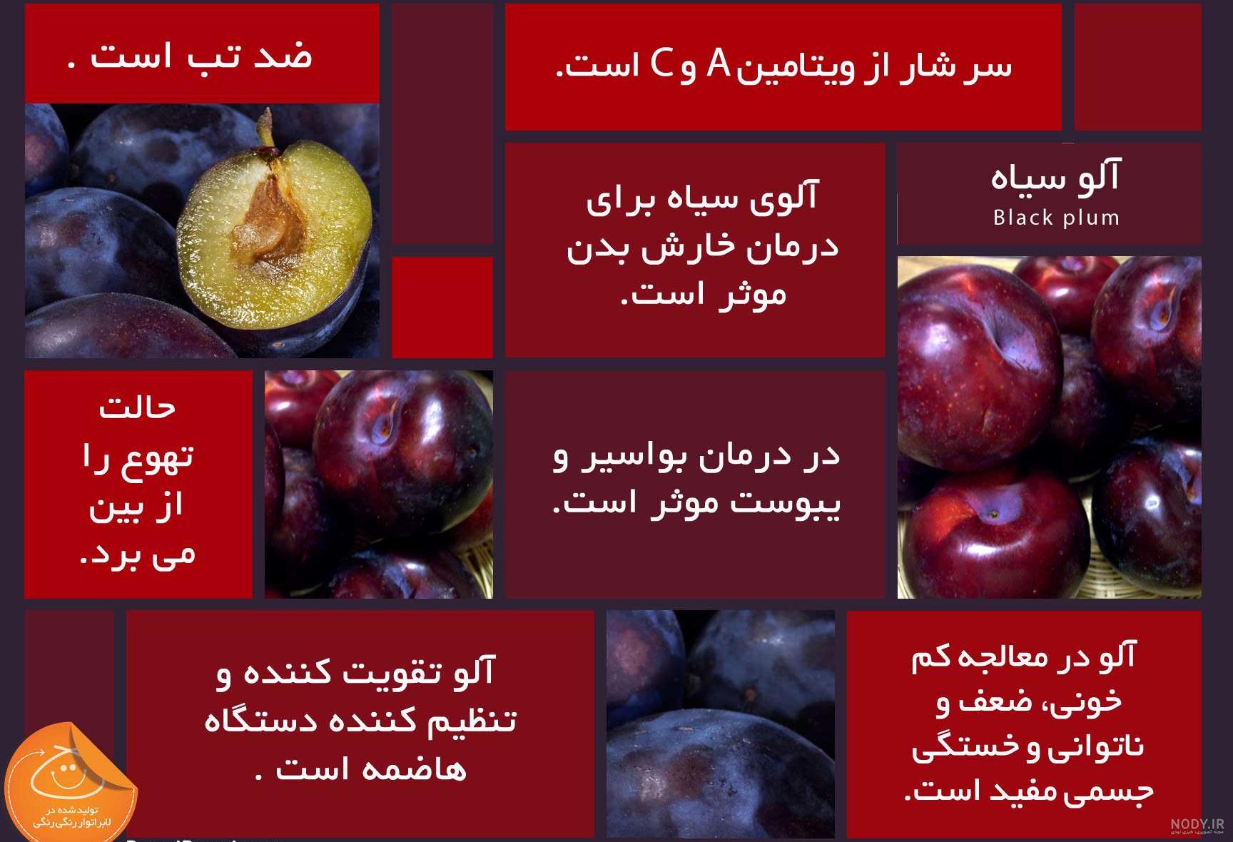 خواص آلو سیاه برای لاغری خواص آلو سیاه برای لاغری