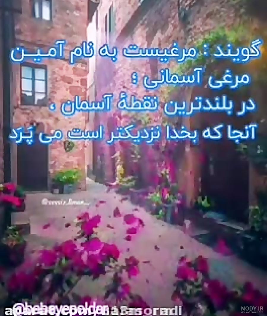 دانلود آهنگ مرغ امین چاوشی دانلود آهنگ مرغ امین چاوشی