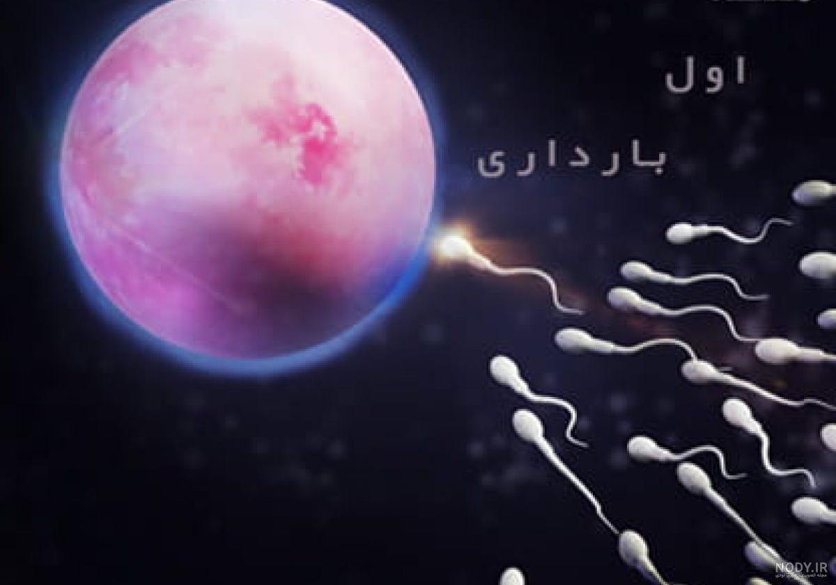 در سه ماه اول بارداری چی نخوریم
