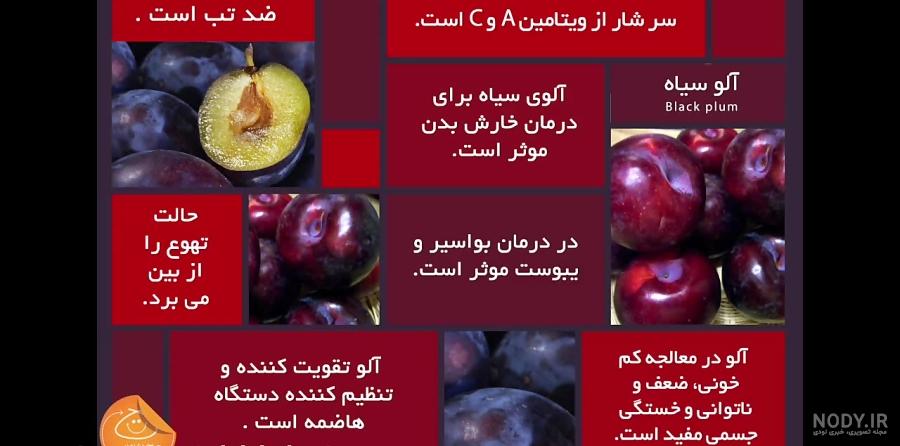 درخت آلو سیاه شابلون درخت آلو سیاه شابلون