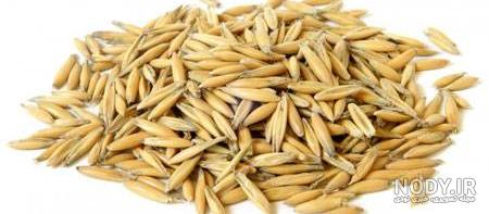 طریقه مصرف جو دو سر طریقه مصرف جو دو سر