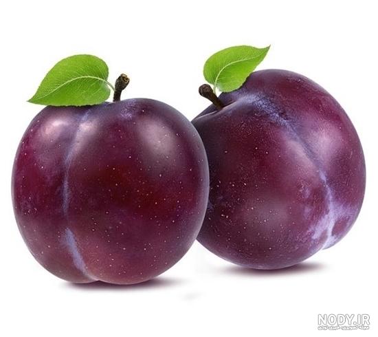 عکس از آلو سیاه عکس از آلو سیاه