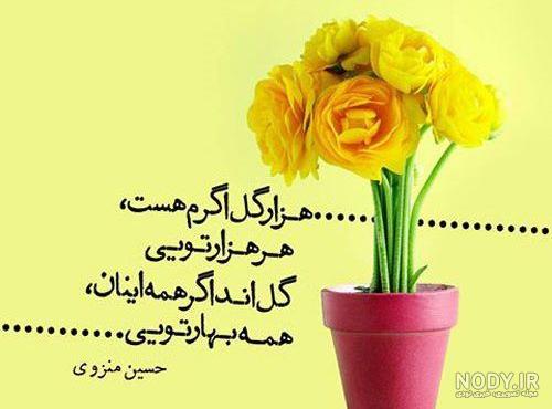 عکس بهاری زیبا