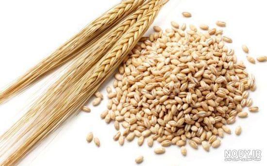 عکس جو دوسر و جو معمولی عکس جو دوسر و جو معمولی