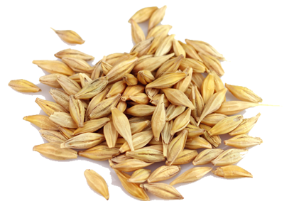عکس جو دوسر و جو معمولی عکس جو دوسر و جو معمولی