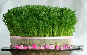 عکس سبزه عید با ارزن عکس سبزه عید با ارزن