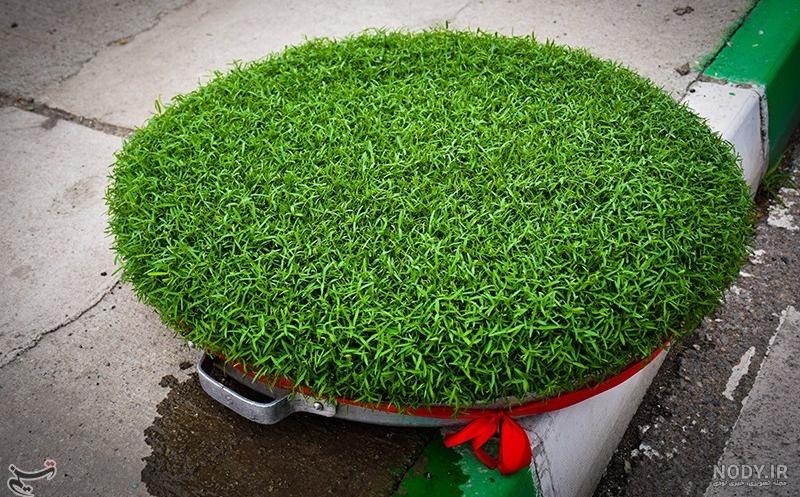 عکس سبزه عید ساده عکس سبزه عید ساده