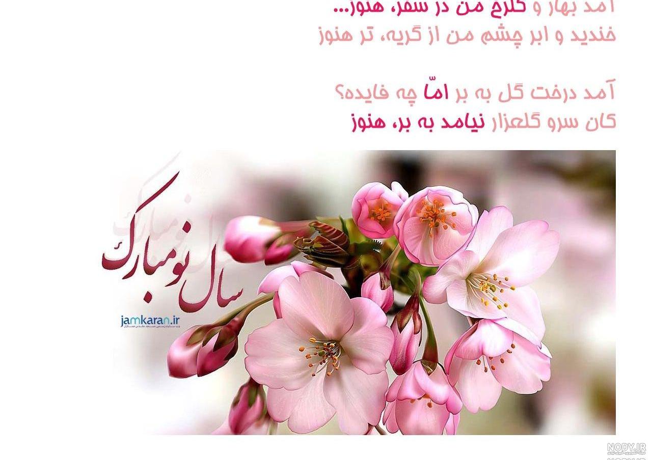 عکس شکوفه هلو عکس شکوفه هلو