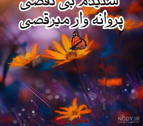 عکس نوشته شنیدم بی نقصی پروانه وار میرقصی
