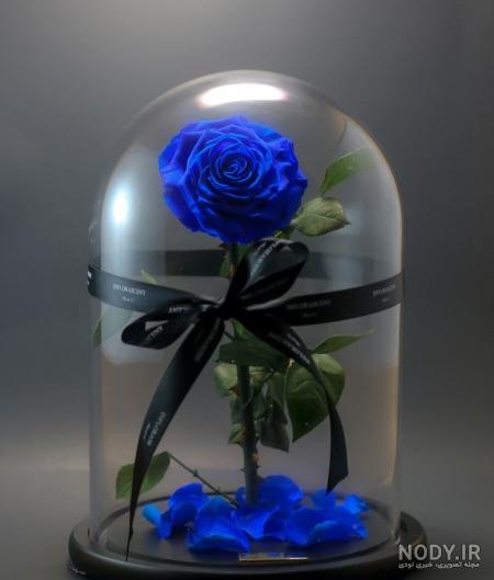 عکس نوشته گل رز آبی برای پروفایل