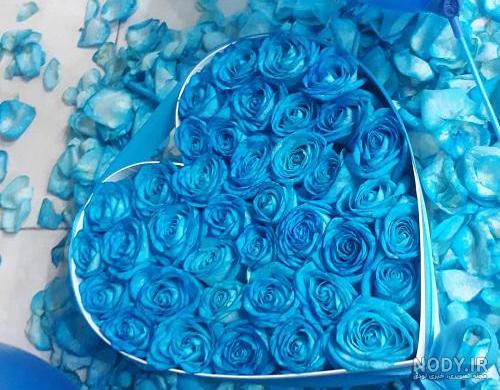عکس گل رز آبی برای پروفایل