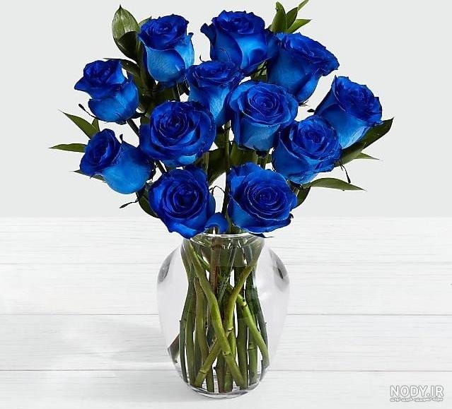 عکس گل رز آبی برای پروفایل واتساپ