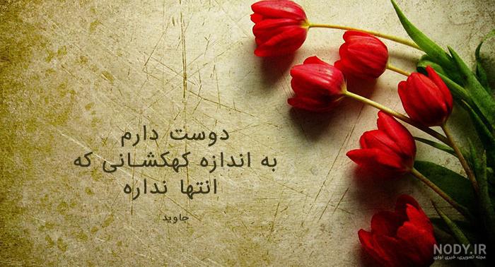 عکس گل لاله آبی عکس گل لاله آبی