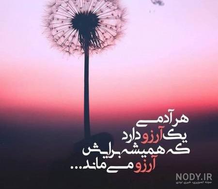عکسهای بسیار زیبا از طبیعت