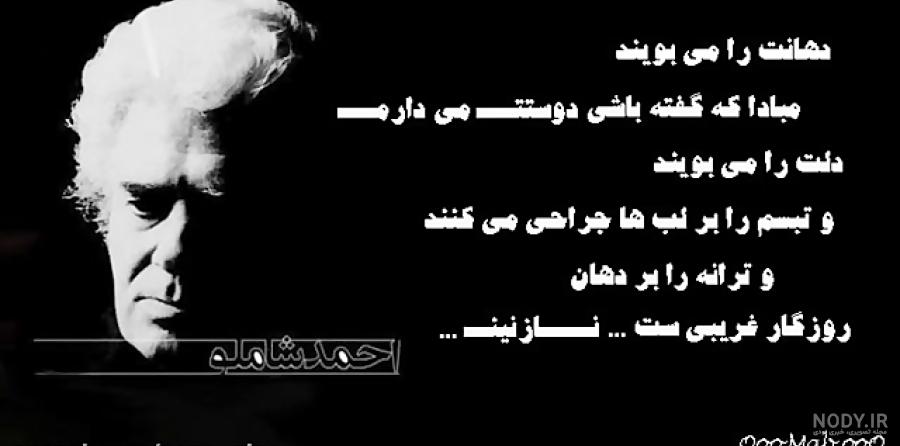 متن غریبی و غربت