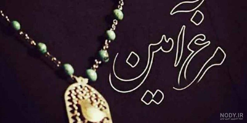 مرغ آمین طلا مرغ آمین طلا