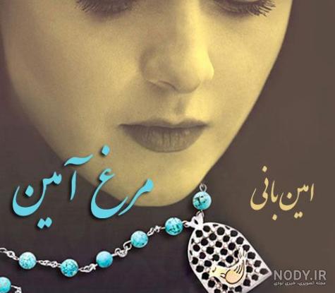 معنی شعر مرغ آمین معنی شعر مرغ آمین
