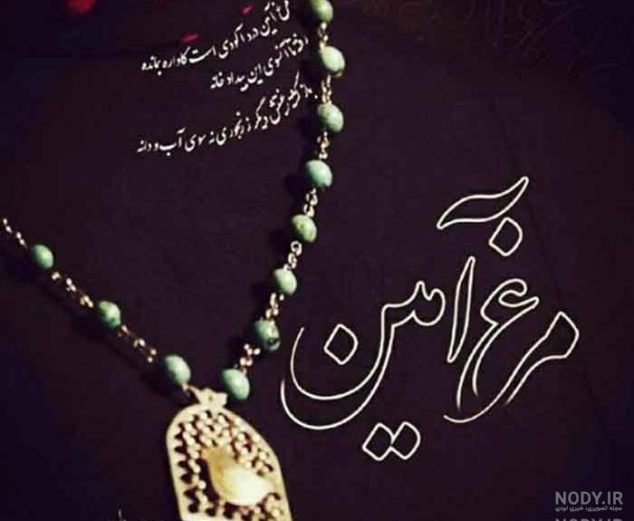 معنی مرغ آمین معنی مرغ آمین