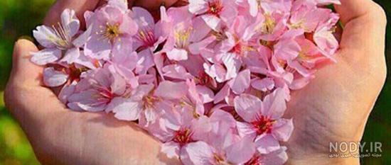 پروفایل انرژی مثبت خدایی