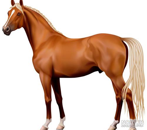  عکس کارتونی اسب