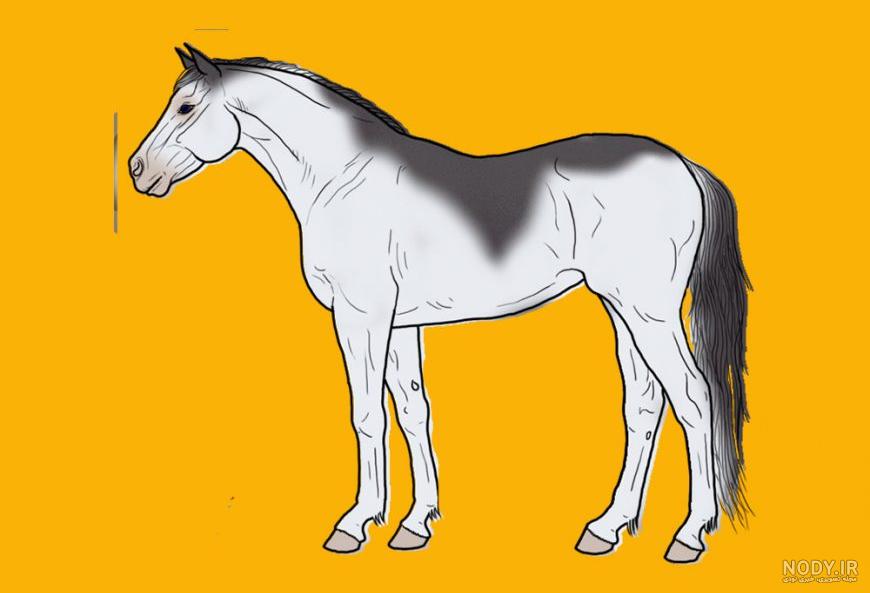  عکس کارتونی اسب