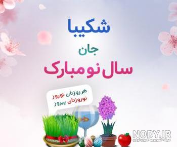 بیوگرافی شکیبا غلامی