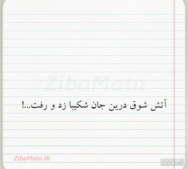 تولدت مبارک رفیق