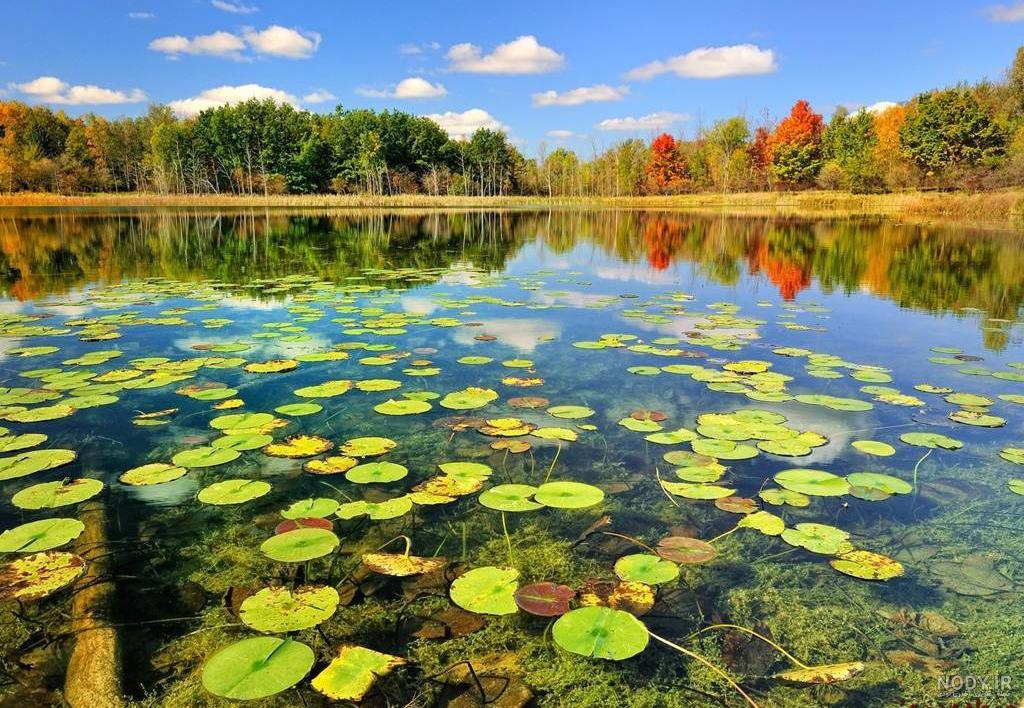 جاذبه طبیعی چیست جاذبه طبیعی چیست