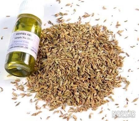 روغن رازیانه حجم دهنده