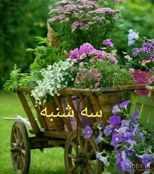 صبح سه شنبه بخیر عشقم