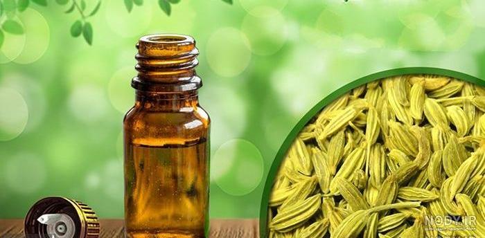 عکس از روغن رازیانه