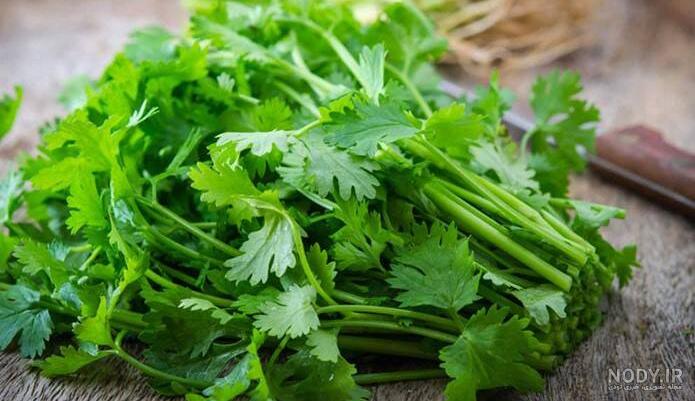 عکس جعفری سبزی
