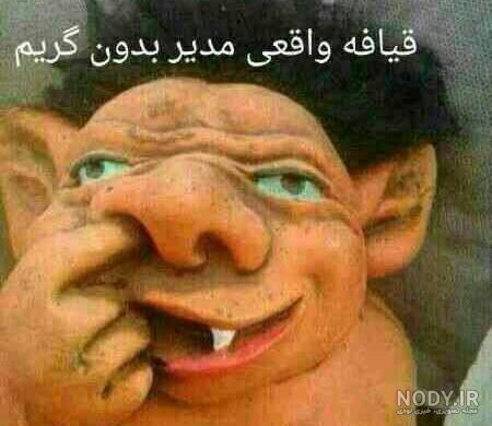 عکس حیوانات زیبا و بامزه