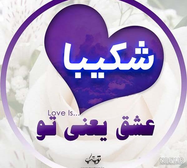 عکس شکیبا غلامی